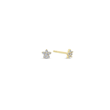 Stella diamant ørestikker i 14 kt guld Ø2440-022rg